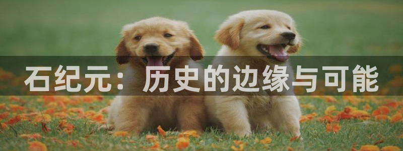 今天也被虎视眈眈漫画下拉式奇漫屋：石纪元：历史的边缘与可能